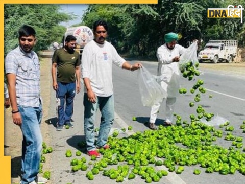 पंजाब में सड़कों पर शिमला मिर्च फेंक रहे हैं किसान. 