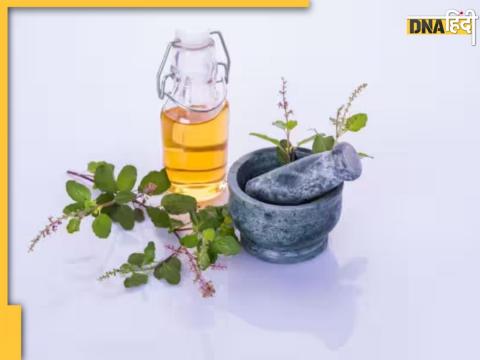 How To Make Tulsi Toner At Home