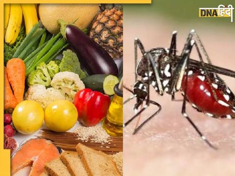 Malaria diet