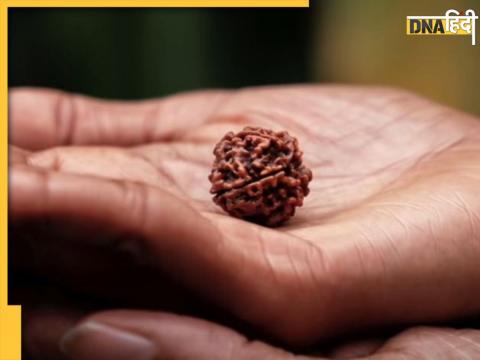 Rudraksha is beneficial for getting money