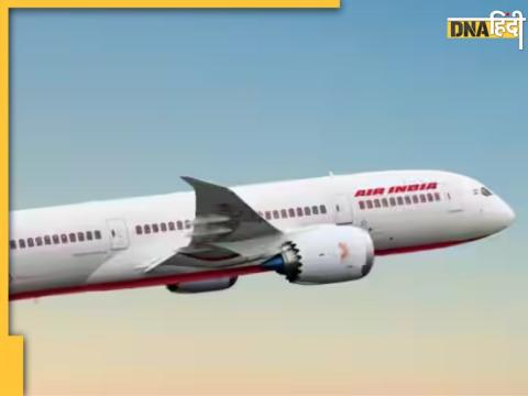 Air India की फ्लाइट में बिच्छू ने मारा डंक.