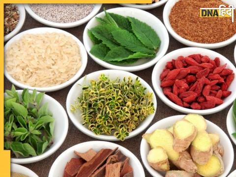 Ayurvedic Herbs Control Diabetes