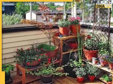 Terrace Garden Tips