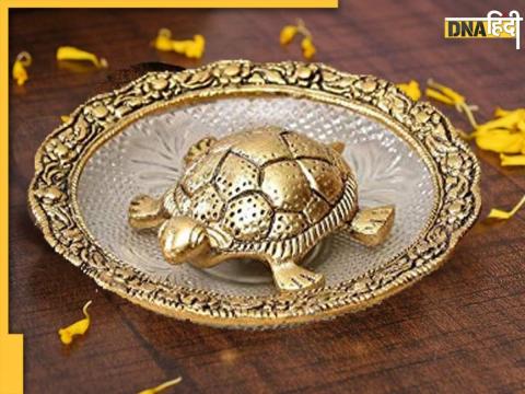 Vastu Tips For Metal Tortoise