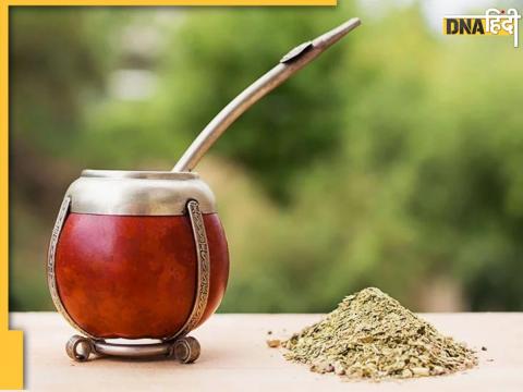 Yerba Mate Tea Lowring Cholesterol