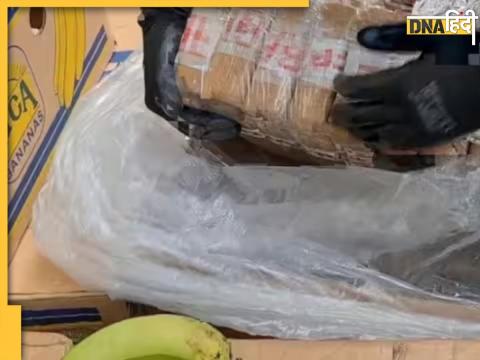 italian police drug hidden in banana shipment cocaine sniffers dog 11000 crore 