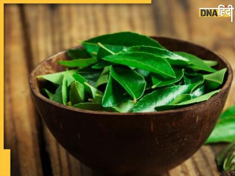 Curry Leaves Benefits 