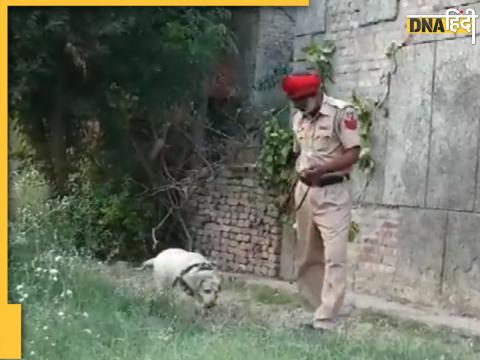 Punjab Police Dog