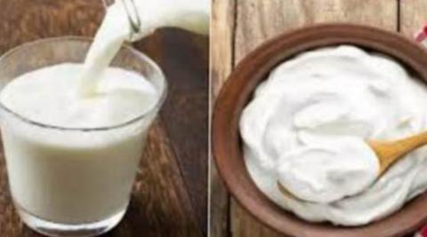 Milk and Curd in Dream Meaning