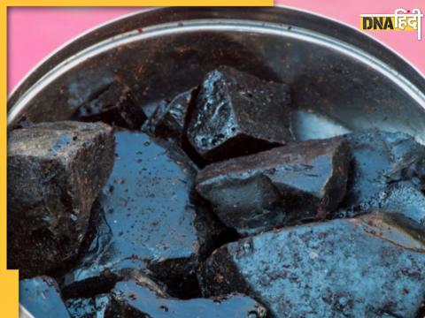 Avoid These Foods With Shilajit