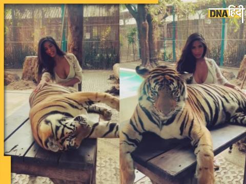 Poonam Pandey Video With Tiger