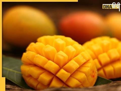 Mango Seeds Eating Benefits