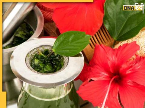 Hibiscus Flowers For Hair Growth