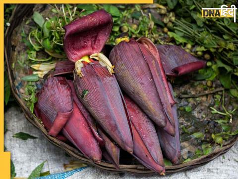 Banana Flowers Control Uric Acid