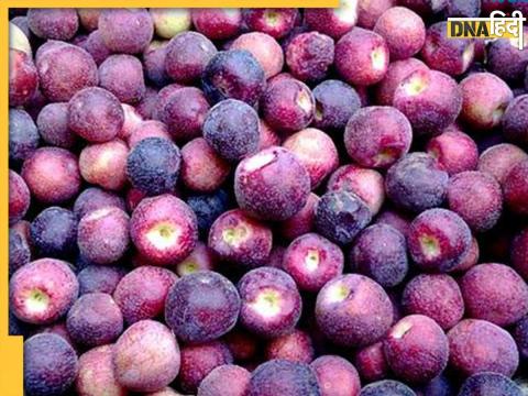 Falsa Fruit Health benefits