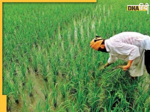 PM Kisan Yojana 14th Instalment