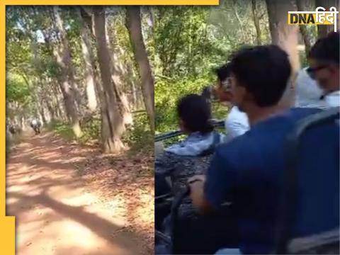 Dudhwa Tiger Reserve Video 