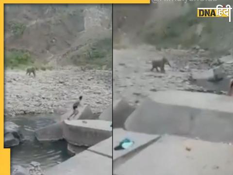 Uttarakhand video viral on social media