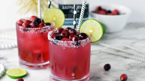 Ingredients to make Cranberry Margarita
