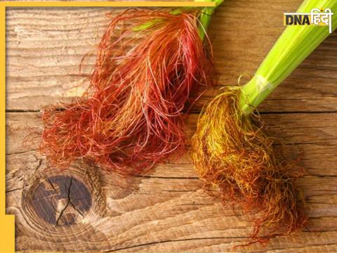 Benefits of corn silk