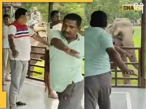 Elephant Yoga Viral Video