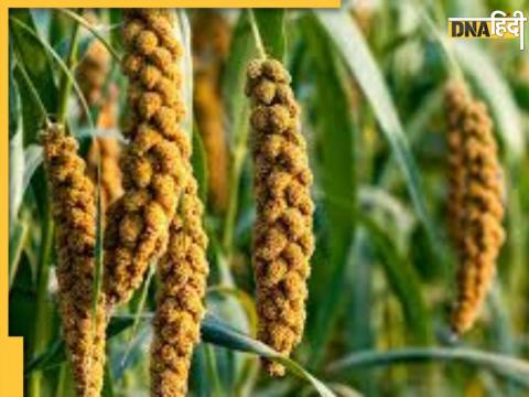 Millets Benefits