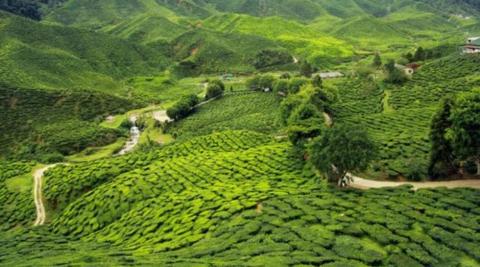 दार्जलिंग (Darjeeling)