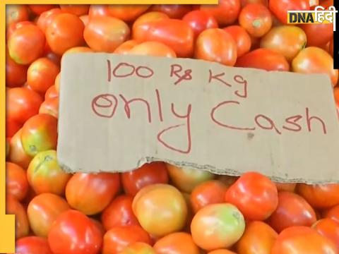 Tomato Price