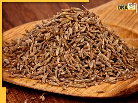 Cumin Price Hike