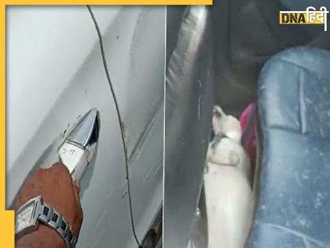 Dog Dies in Car