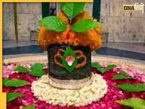 Bel Patra On Shivling 