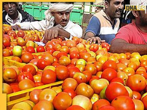 Tomato Price Hike (Representational Photo)