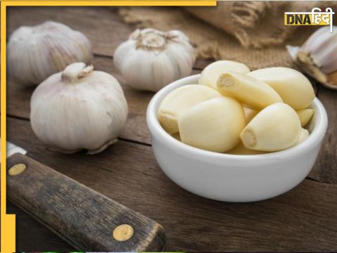 garlic medicinal properties