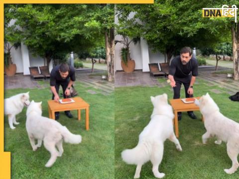 ms-dhoni-celebrate-his-birthday-with-his-dogs and thanks to his well wishers 