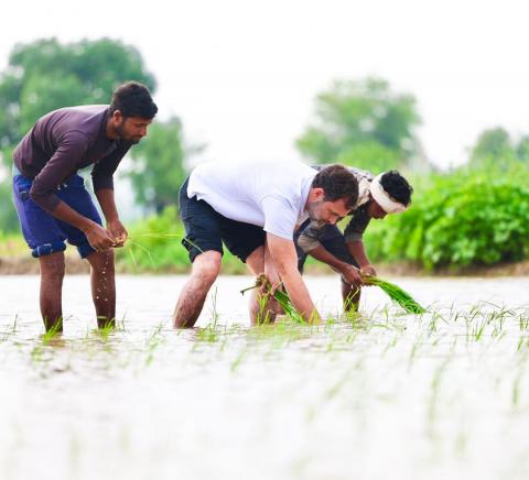 कांग्रेस नेता ने किसानों को चौंकाया