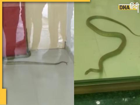 Snake in ATM