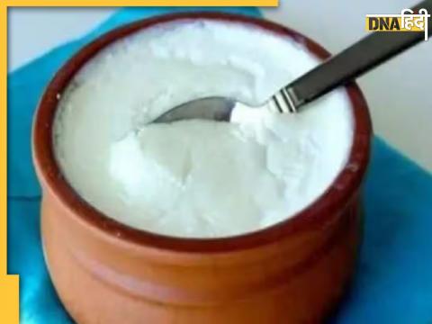 Curd Bad Combination With These Foods