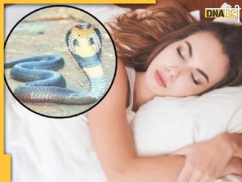 Auspicious To See Snake In Dream