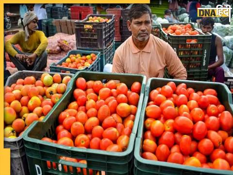 Tomato Price Hike