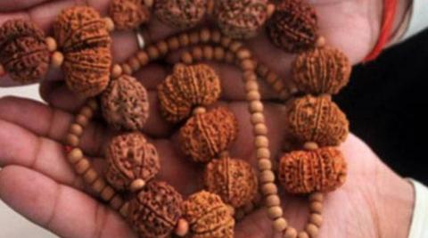 Rudraksha