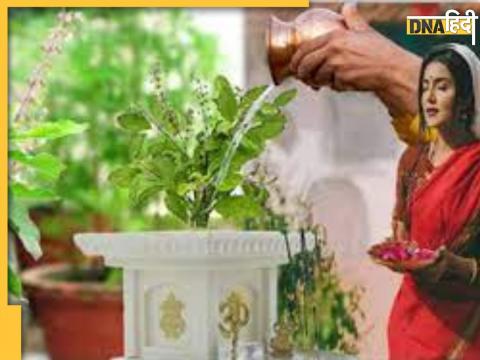 Adhik Maas Tulsi Puja Upay