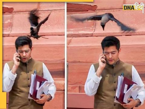 Raghav Chadha