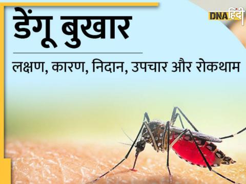 Dengue Treatment Tips