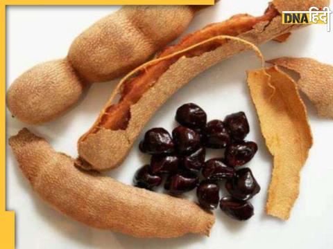 Tamarind Seeds Benefits For Diabetes