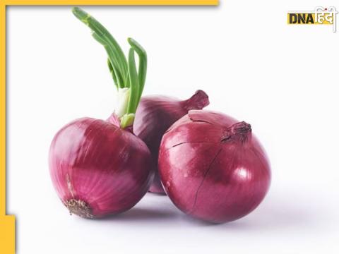 Sprouted Onion Benefits