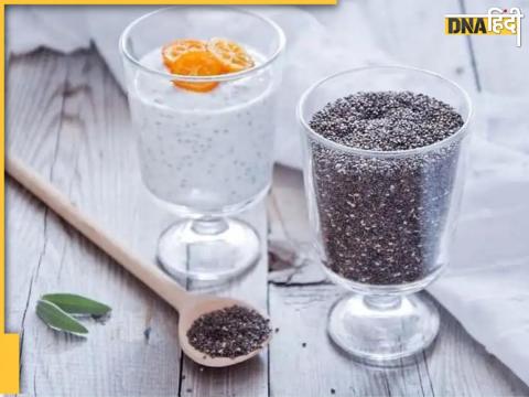 Chia Seeds Benefits