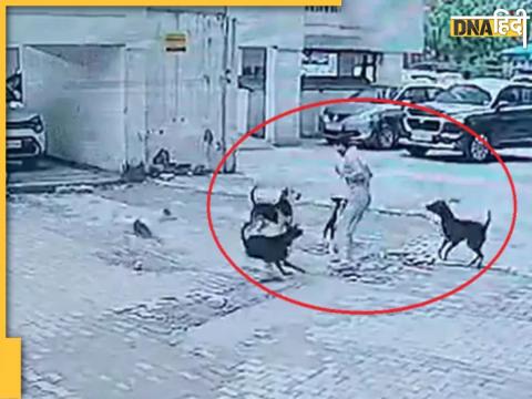 Ghaziabad Viral Video: गाजियाबाद की राजनगर एक्सटेंशन में बच्चे पर हमला करते कुत्ते.