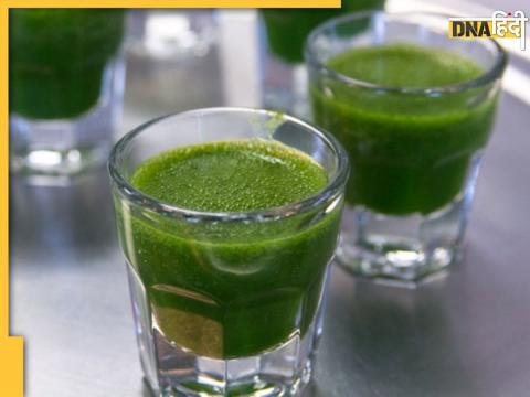 Wheatgrass Water Benefits