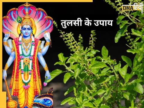 Ekadashi Par Tulsi Upay