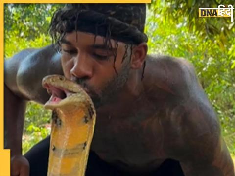 King Cobra Video Viral Social Media Hindi News 